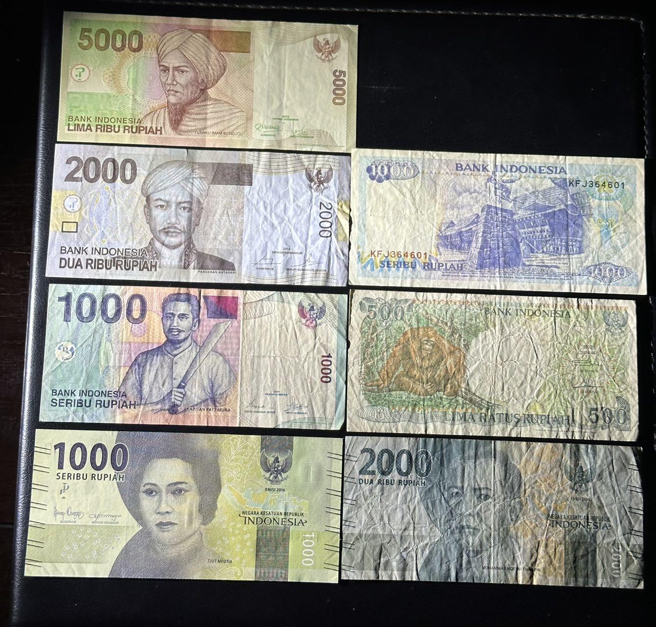 丙午马年四月第二场 。本期更新各类稀有品种