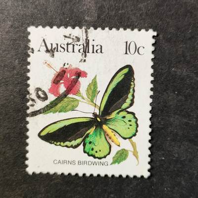 嘉禾收藏    【第510期】            无佣金、可寄存、满30元包邮 - 蝴蝶🦋邮票