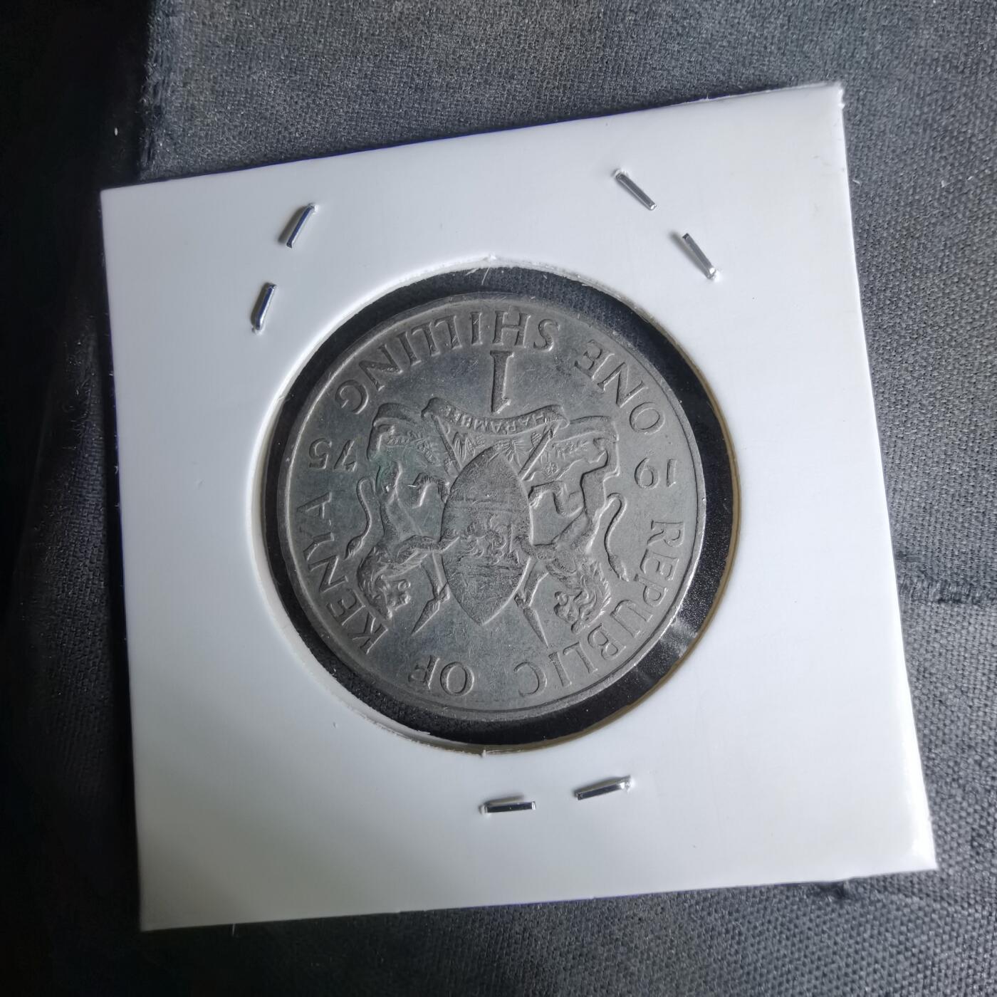 沼泽如烟--第1045场