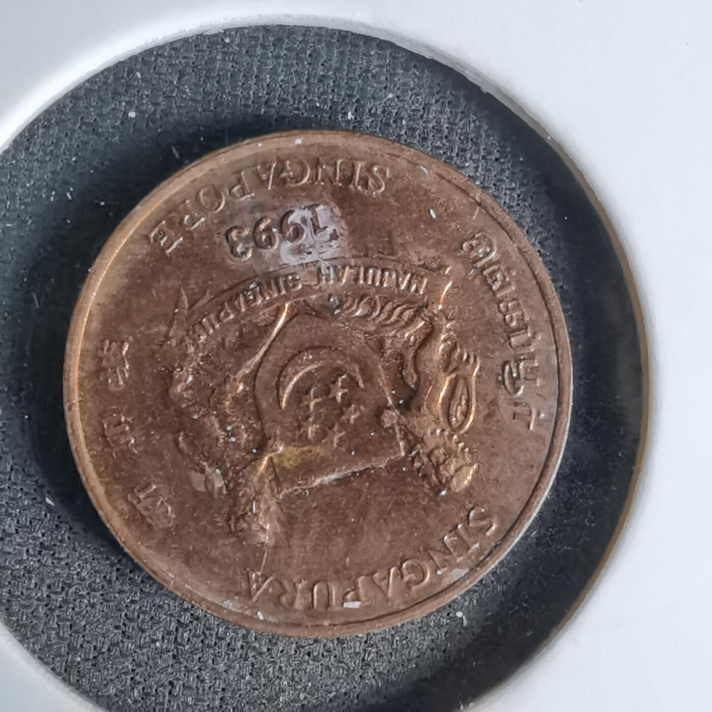 沼泽如烟--第1045场