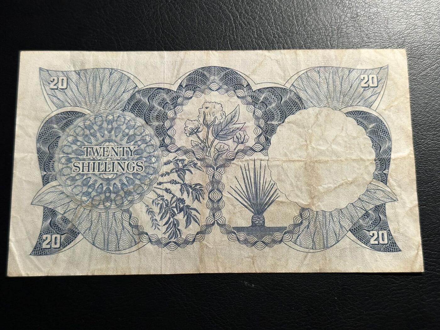 丙午马年四月第二场 。本期更新各类稀有品种