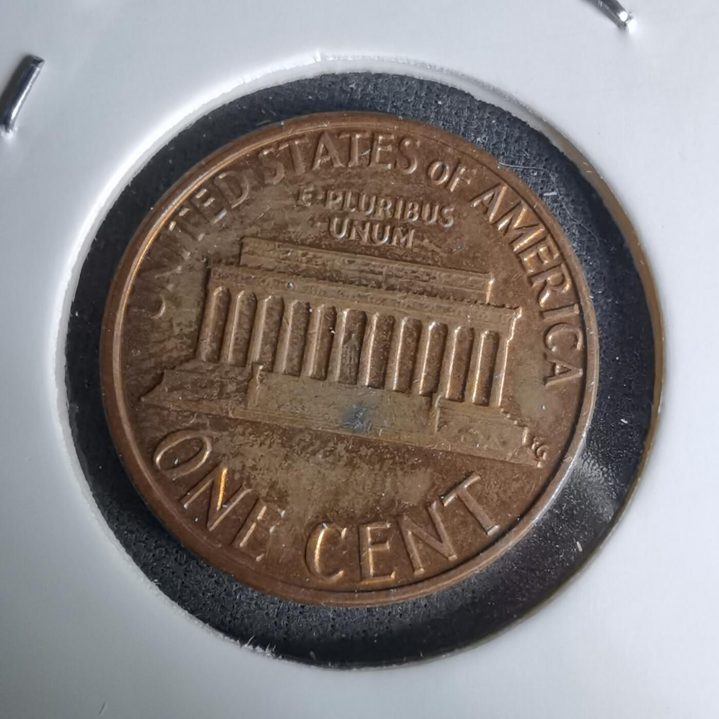 沼泽如烟--第1045场