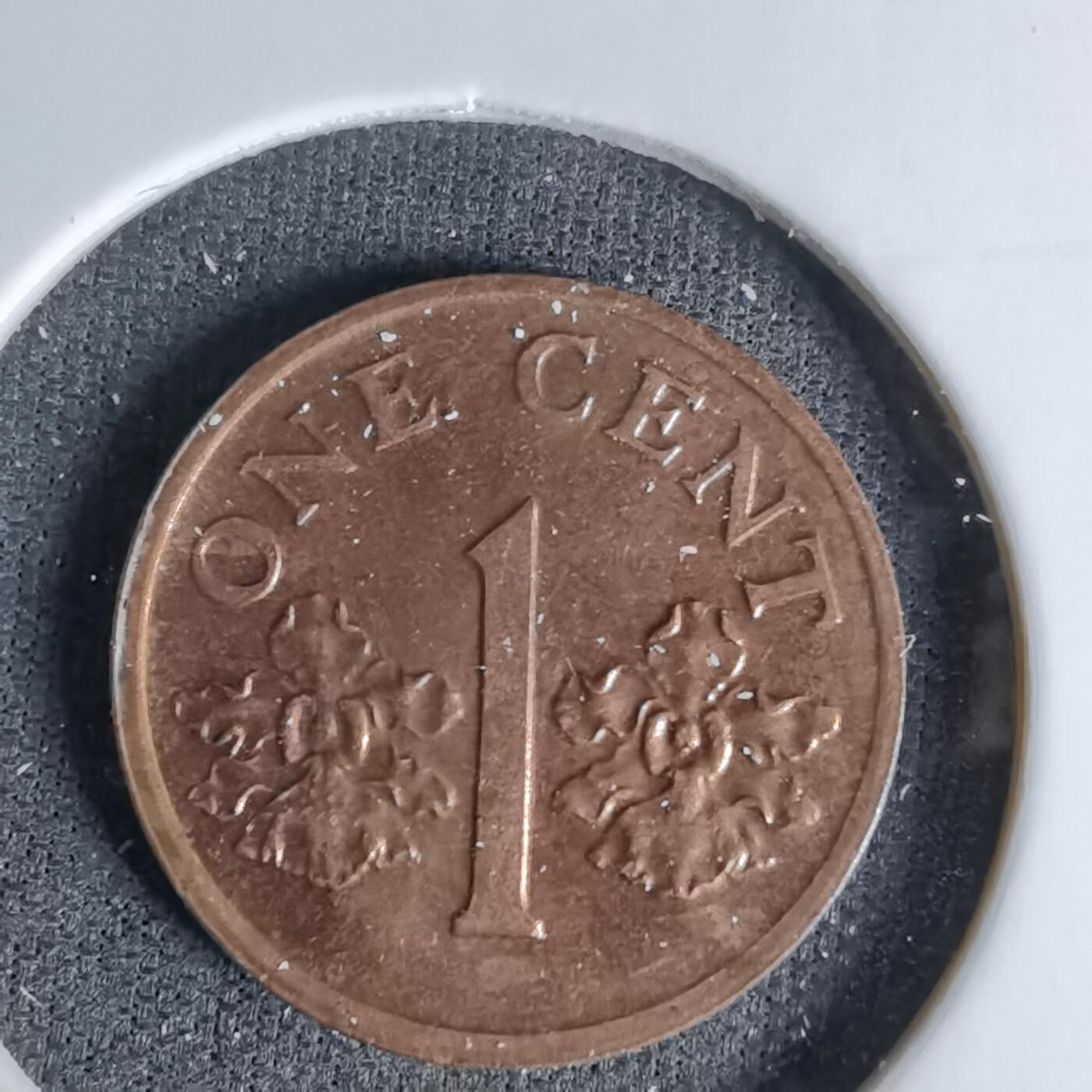 沼泽如烟--第1045场