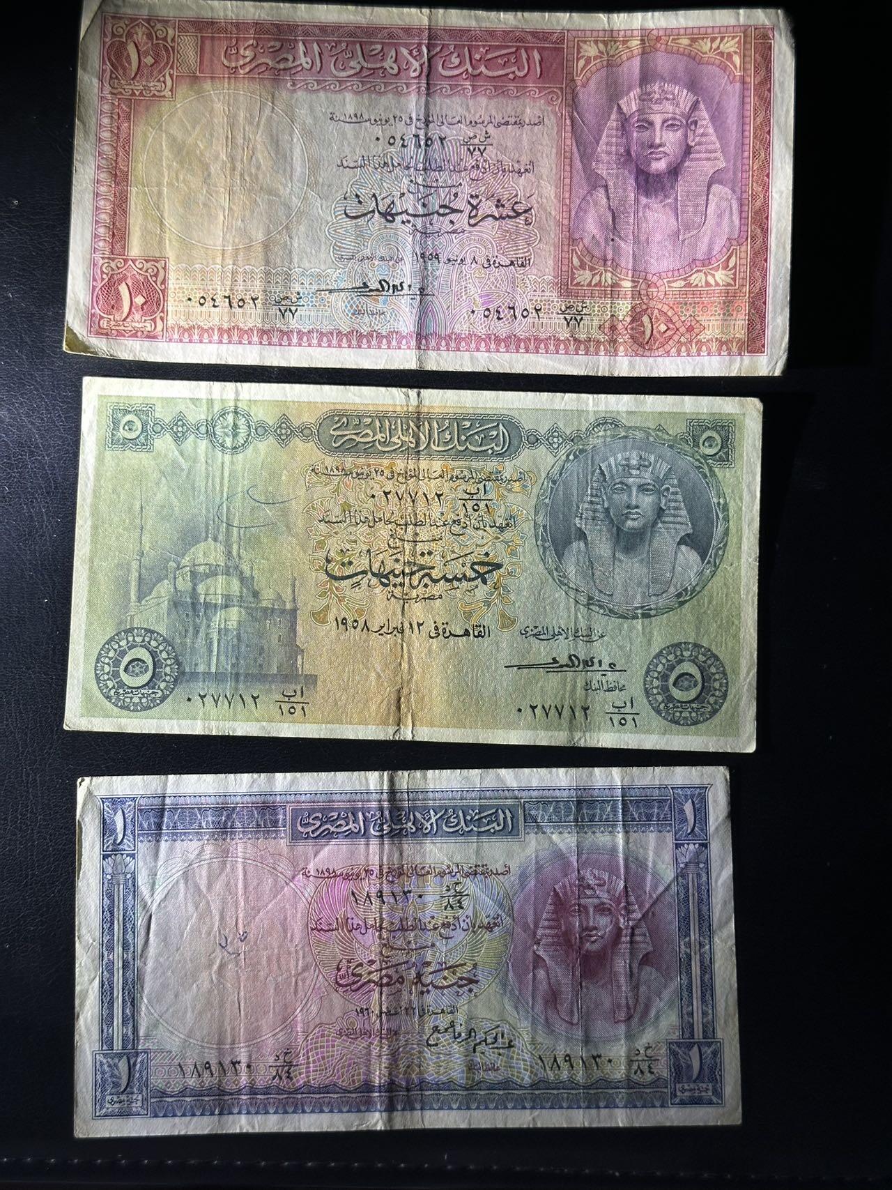 丙午马年四月第二场 。本期更新各类稀有品种