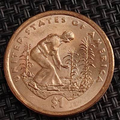 布加迪🐬～世界钱币(上海)🌾第 288 期 /  各国套币和散币 - 美国🇺🇸植树节 萨卡加维亚1美元纪念币印第安人原住民硬币26mm