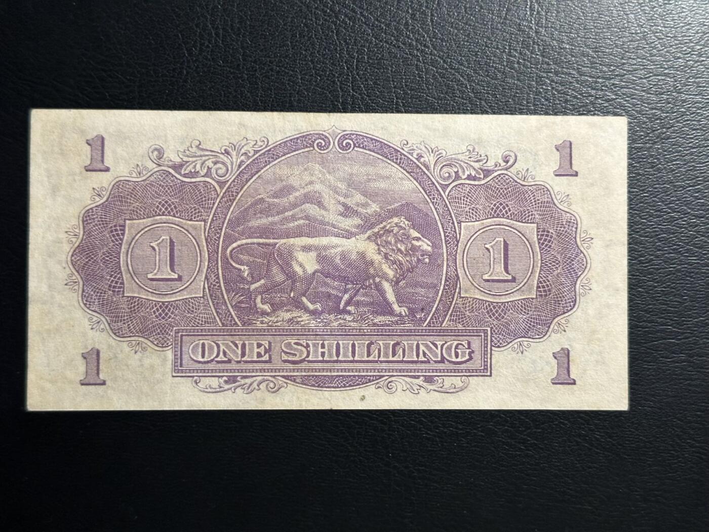 丙午马年四月第二场 。本期更新各类稀有品种