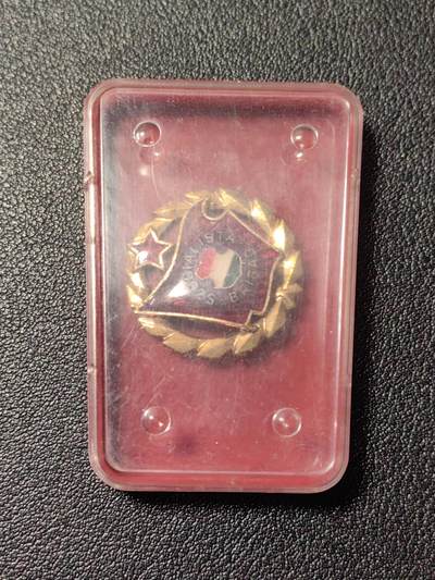 靖甫拍卖第九场 - 匈牙利社会主义工人旅奖章带盒