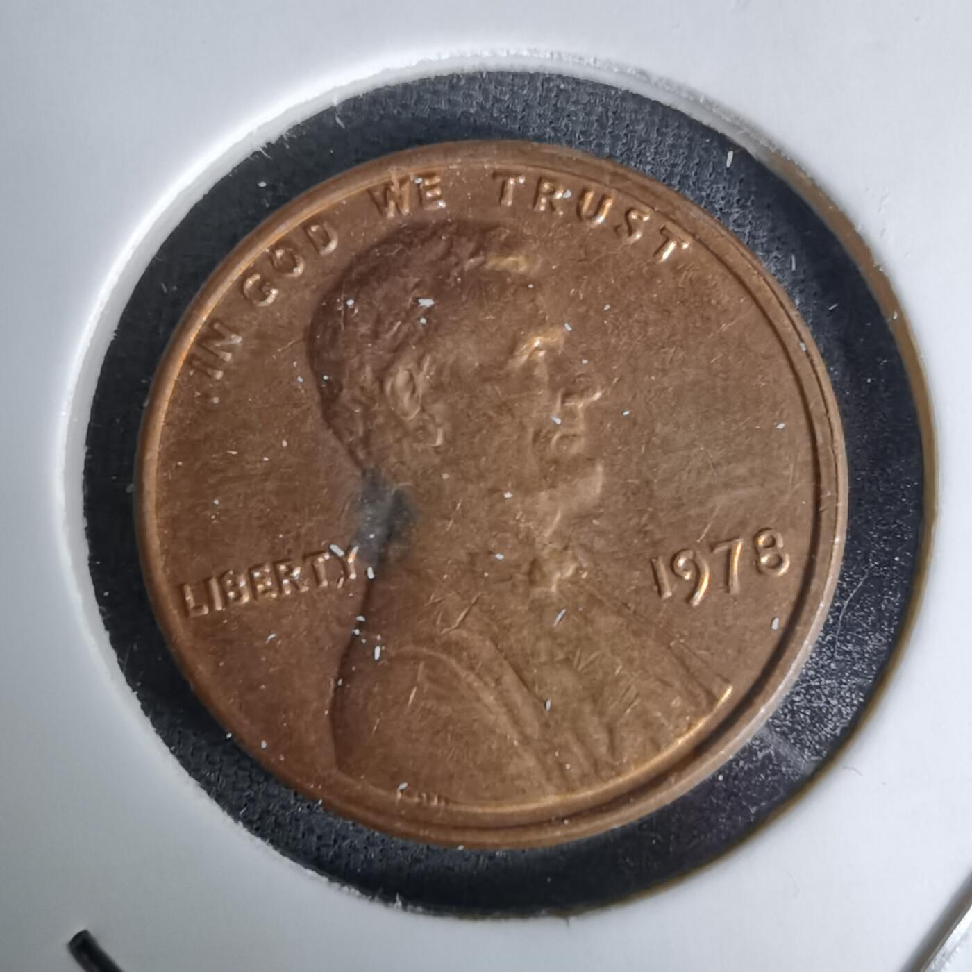 沼泽如烟--第1045场