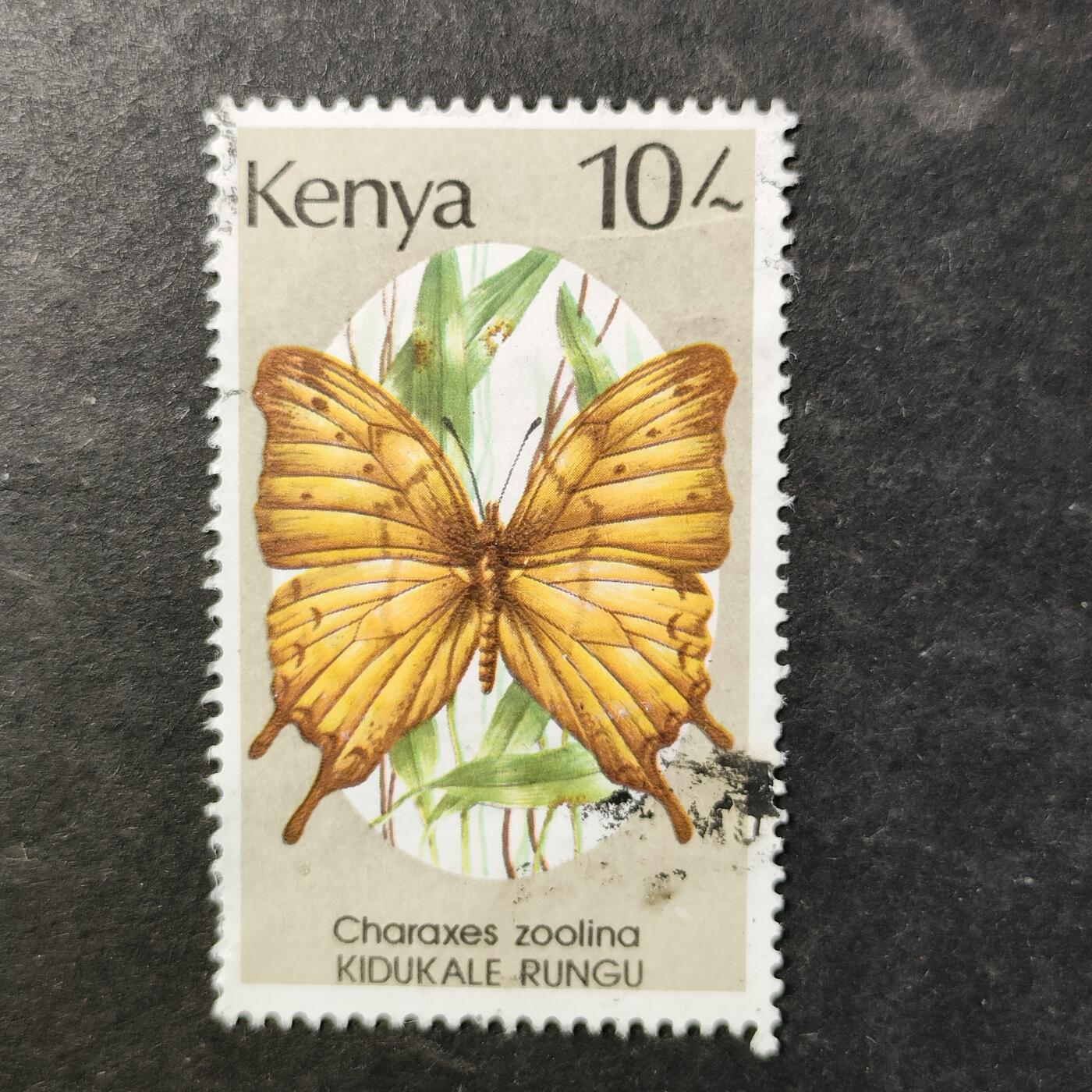 嘉禾收藏    【第510期】            无佣金、可寄存、满30元包邮 蝴蝶🦋邮票