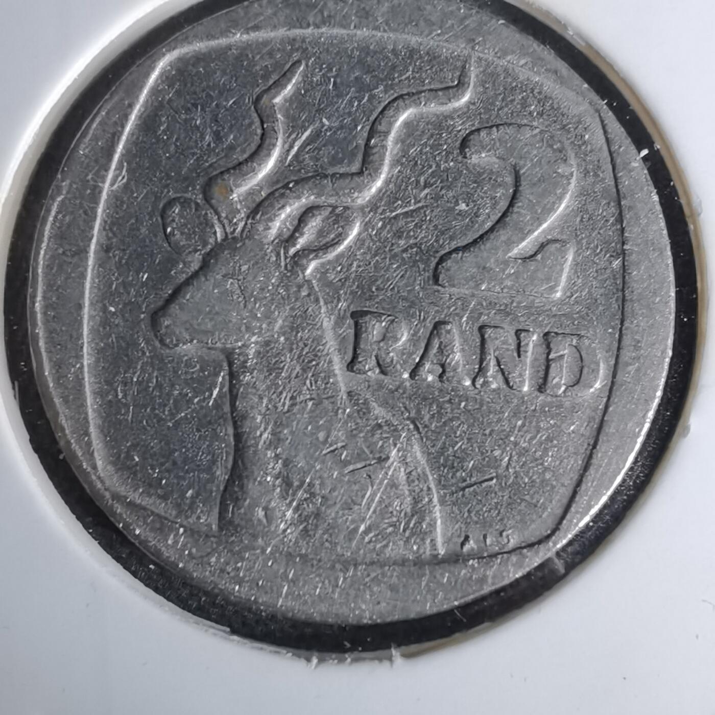 沼泽如烟--第1044场