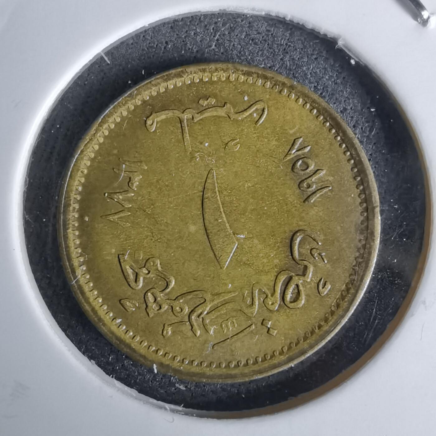 沼泽如烟--第1044场