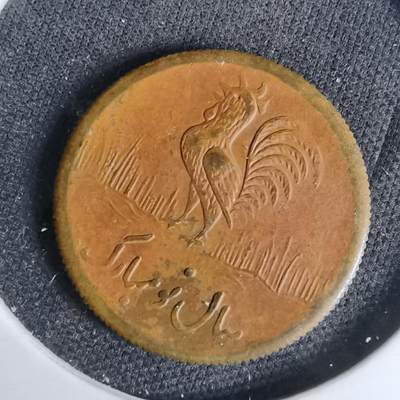 沼泽如烟--第1044场 - 伊朗代币