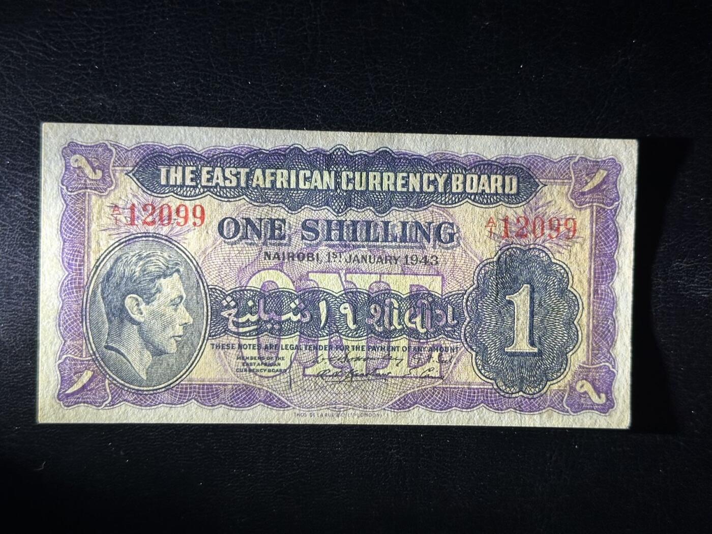 丙午马年四月第二场 。本期更新各类稀有品种