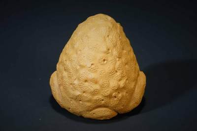 上海都达杂项专场102【全场包邮】  紫砂段泥大嘴蟾茶宠摆件96-51