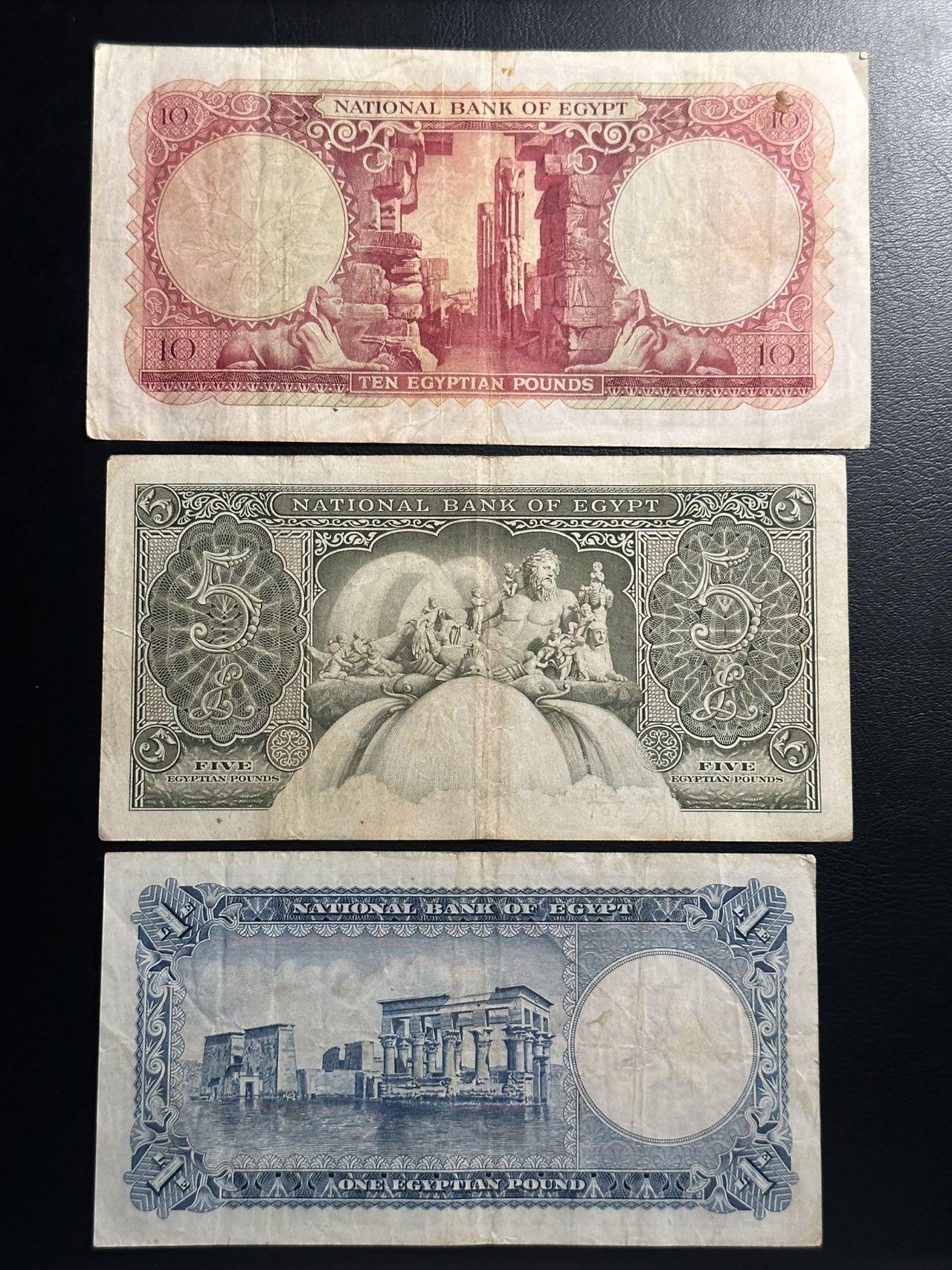 丙午马年四月第二场 。本期更新各类稀有品种