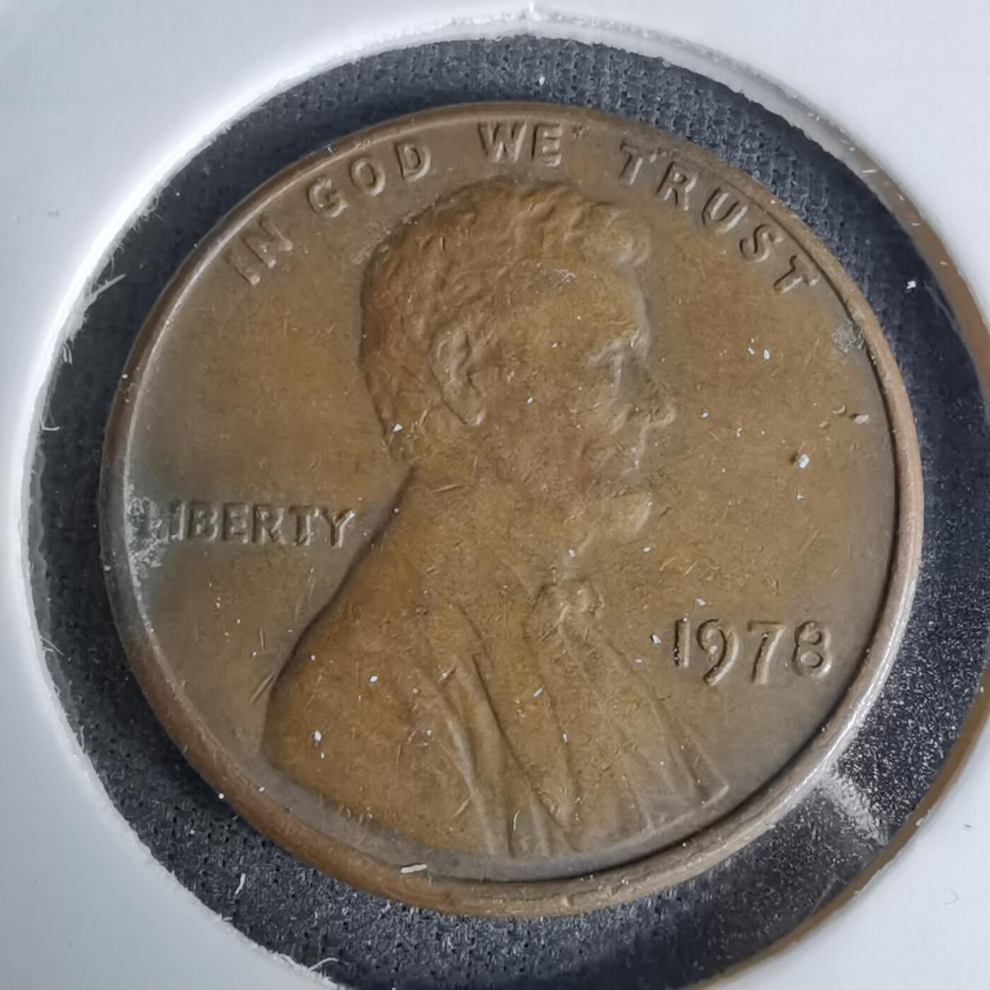 沼泽如烟--第1045场