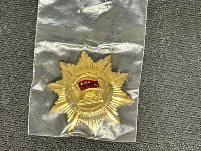 新时代收藏快速小拍 拍卖本周一线所得新货 4月10日场 - 优秀个人徽章