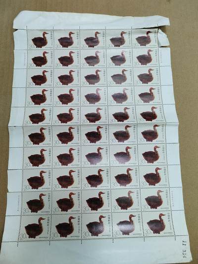 PCAI钱币  8-801 钱币邮票小专场 - 邮票一版  折版