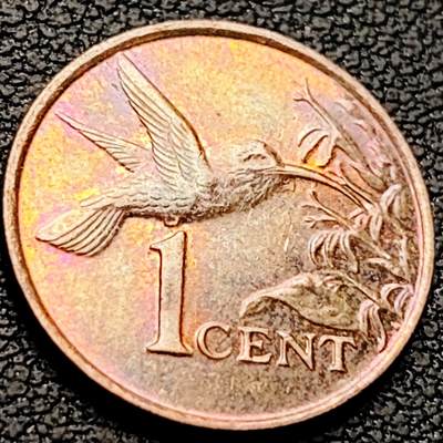 泉币菌-第222场-拍品多 请提前出价 - 蜂鸟 特立尼达和多巴哥1分青铜硬币 17.8毫米 1.95克