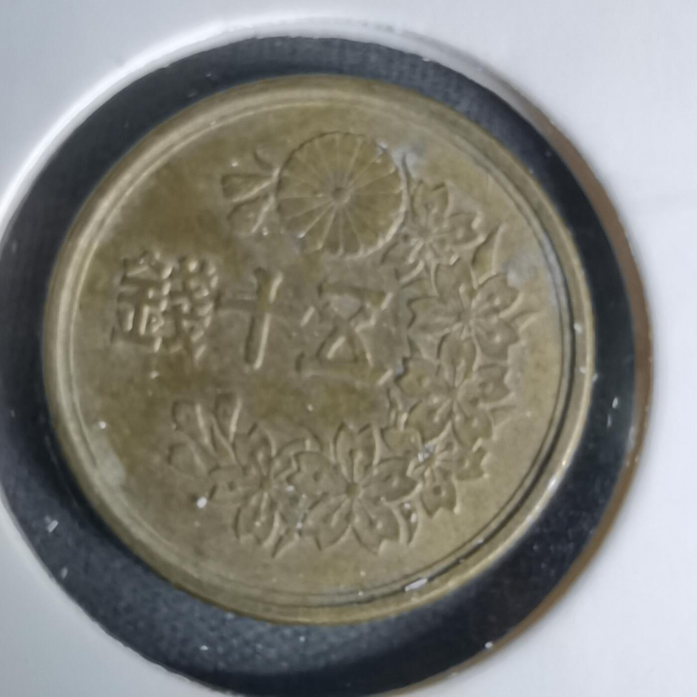 沼泽如烟--第1045场