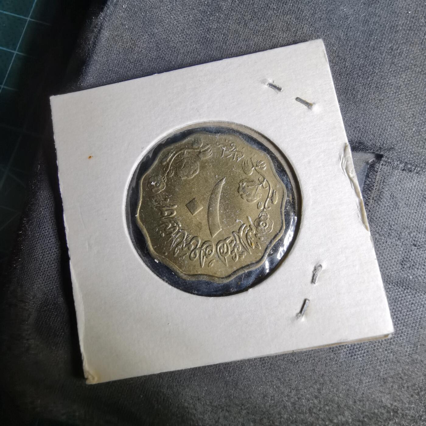 沼泽如烟--第1044场