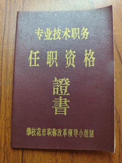 蜀地medal 2026春季精品专场 第5场 - 已作废仅供收藏 专业技术证