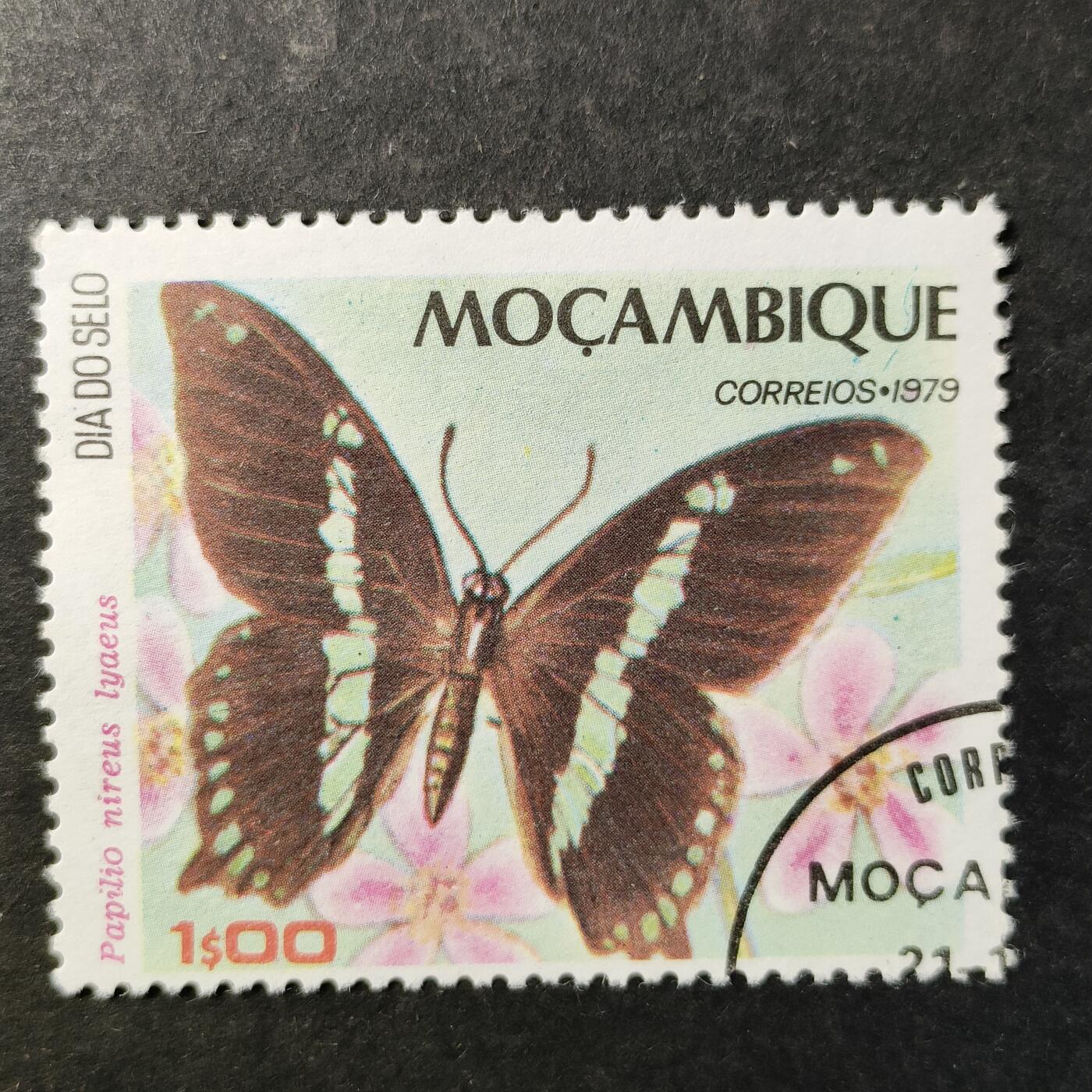 嘉禾收藏    【第510期】            无佣金、可寄存、满30元包邮 蝴蝶🦋邮票