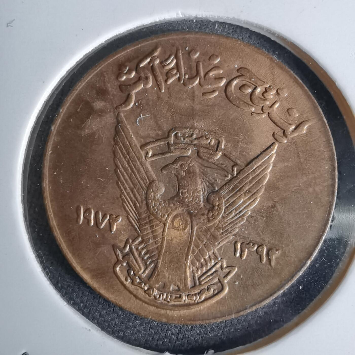 沼泽如烟--第1044场