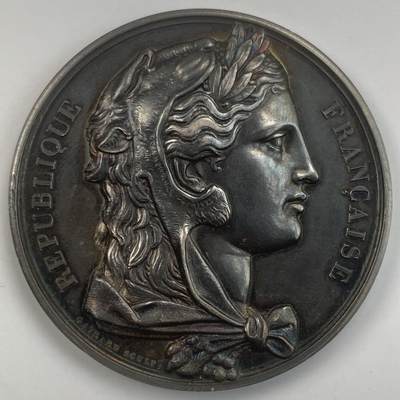 掌中浮雕-藏着的欧洲第057场 - 1877年法国众议院银章，51mm，66.85g，蜜蜂边铭