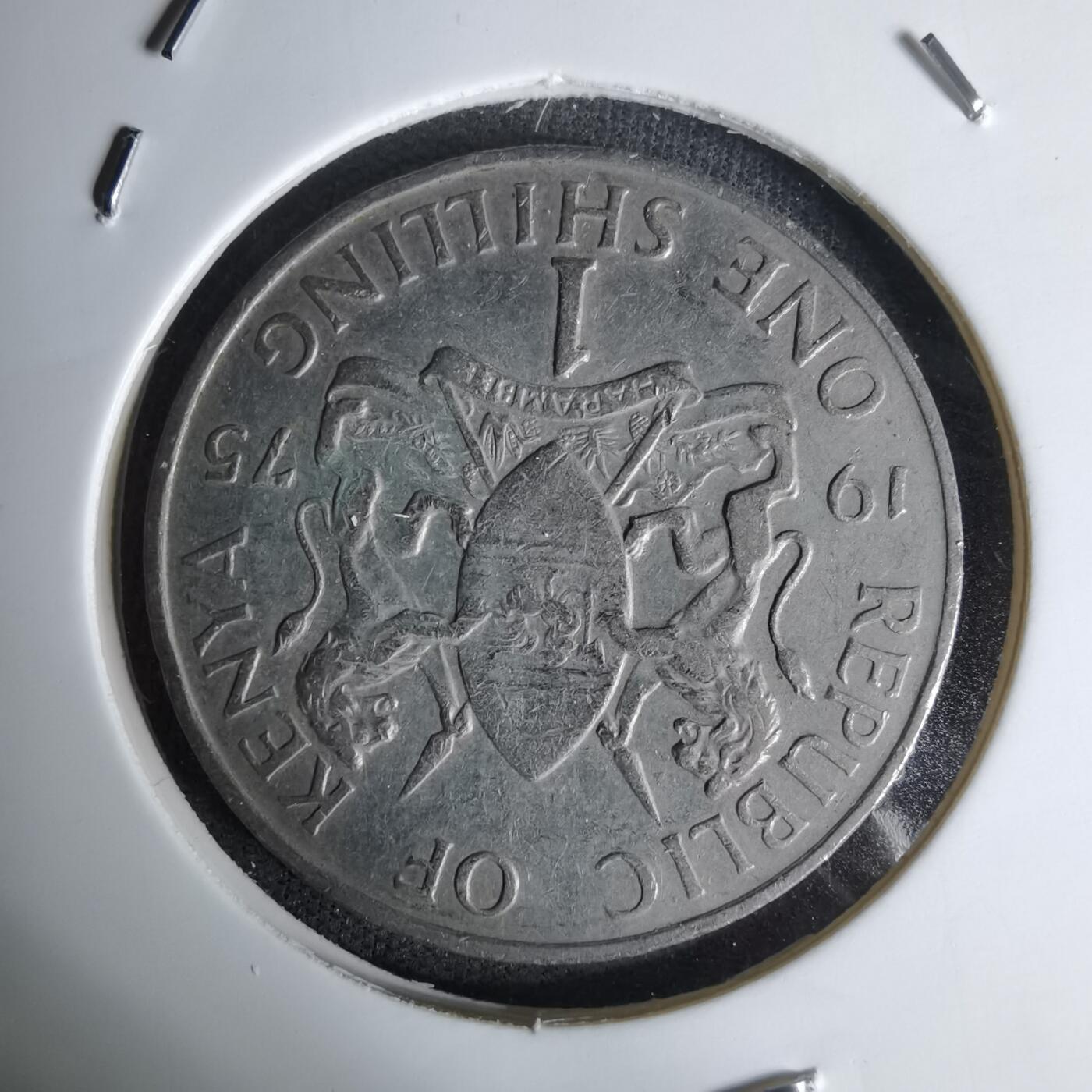 沼泽如烟--第1045场