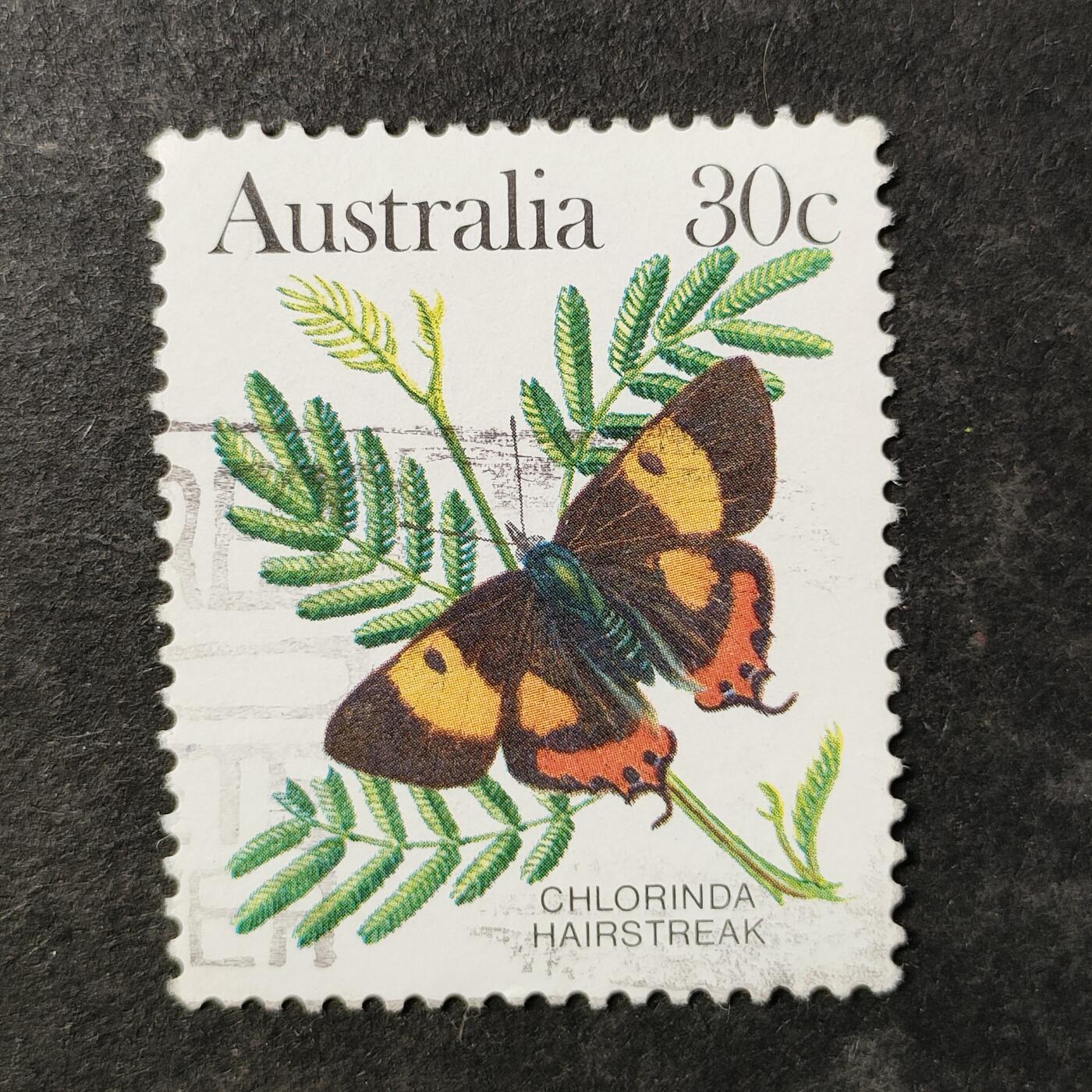 嘉禾收藏    【第510期】            无佣金、可寄存、满30元包邮 邮票一枚