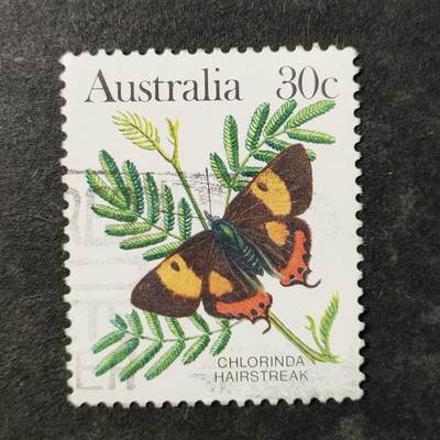 嘉禾收藏    【第510期】            无佣金、可寄存、满30元包邮 - 邮票一枚