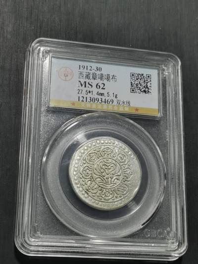 天下钱庄专场欢迎参拍 - 西藏章噶银币