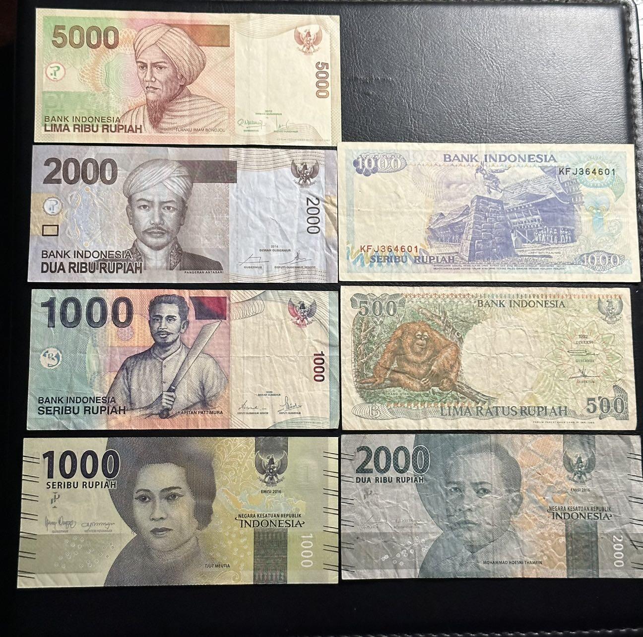 丙午马年四月第二场 。本期更新各类稀有品种