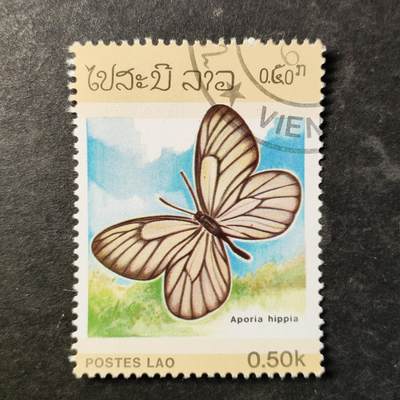 嘉禾收藏    【第510期】            无佣金、可寄存、满30元包邮 - 邮票一枚