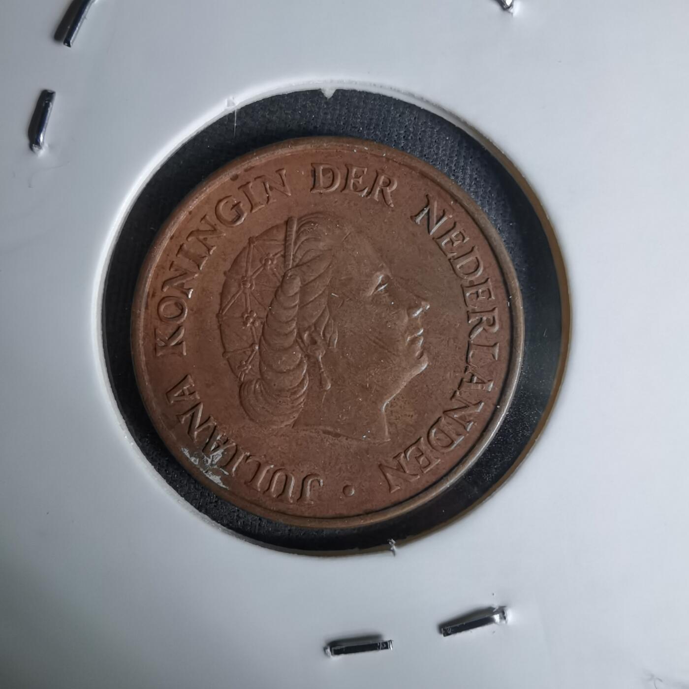 沼泽如烟--第1045场