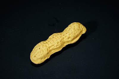 上海都达杂项专场六十九【全场包邮】 - 紫砂段泥花生96-271