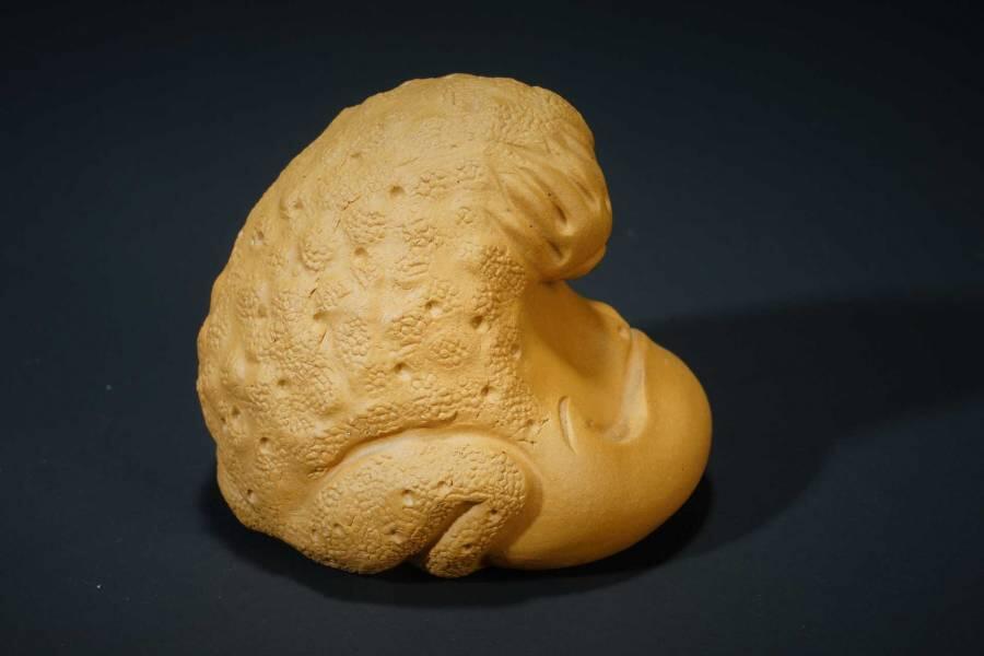 上海都达杂项专场六十九【全场包邮】 紫砂段泥大嘴蟾茶宠摆件96-51