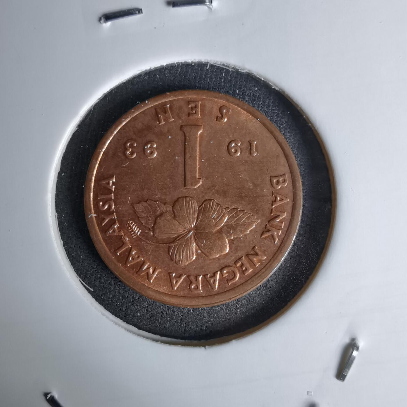 沼泽如烟--第1045场