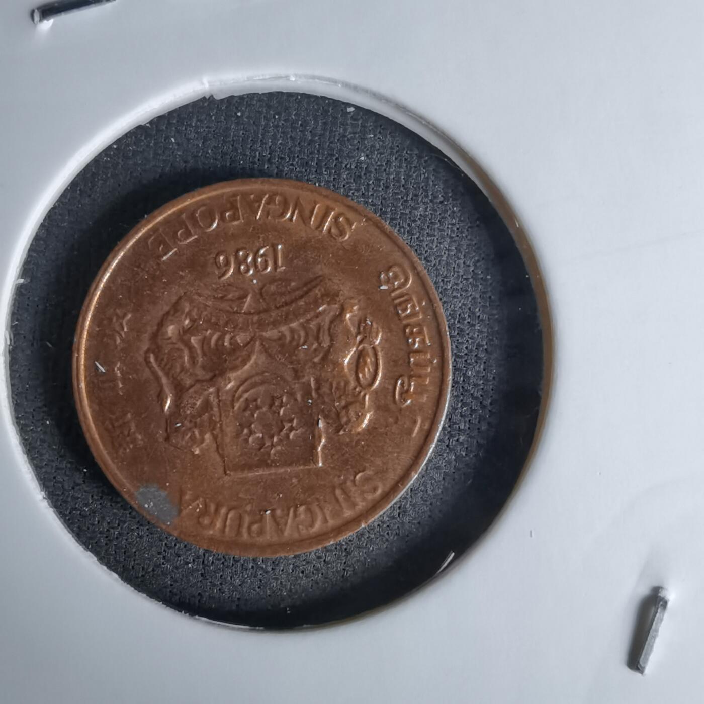 沼泽如烟--第1045场