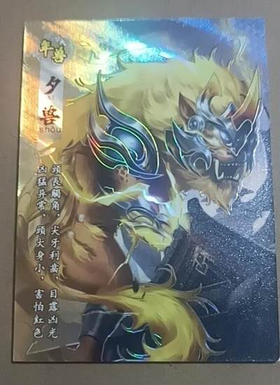 四月九号  小林卡牌 不寄存 - 山海传世录 夕兽