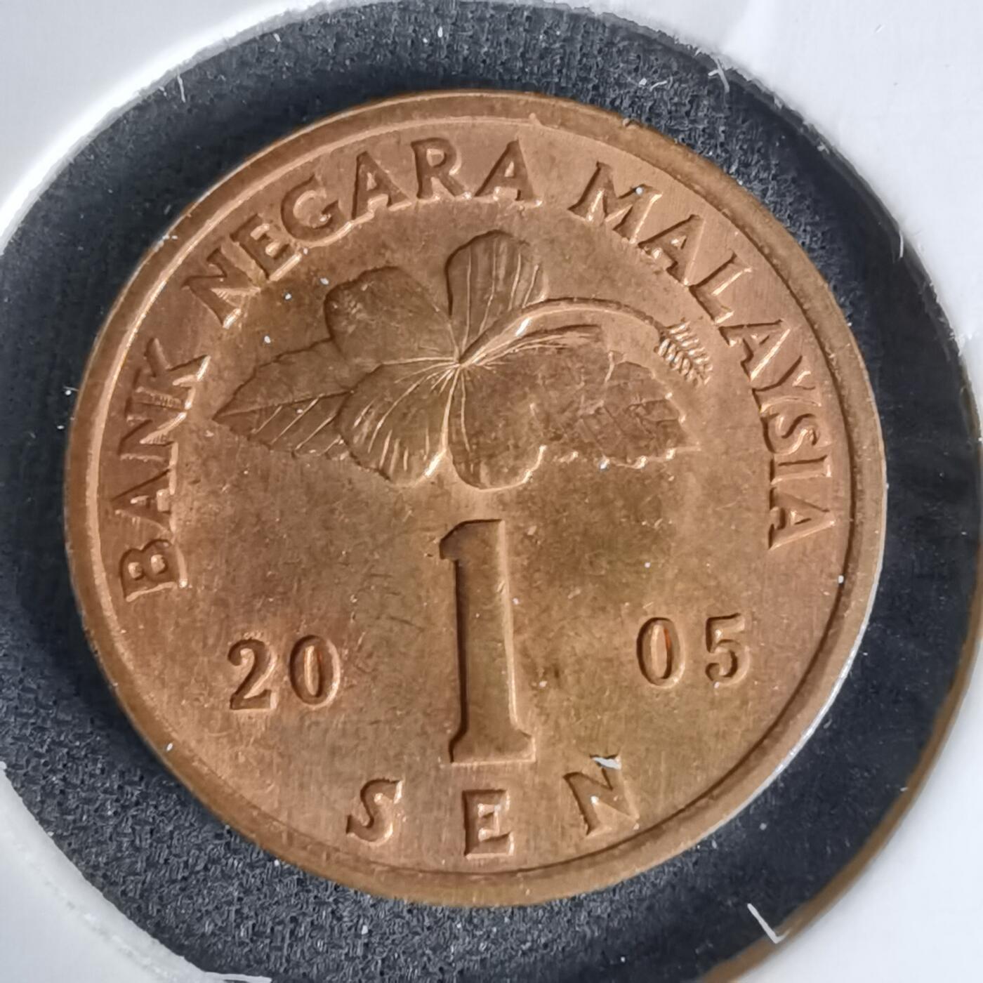 沼泽如烟--第1045场