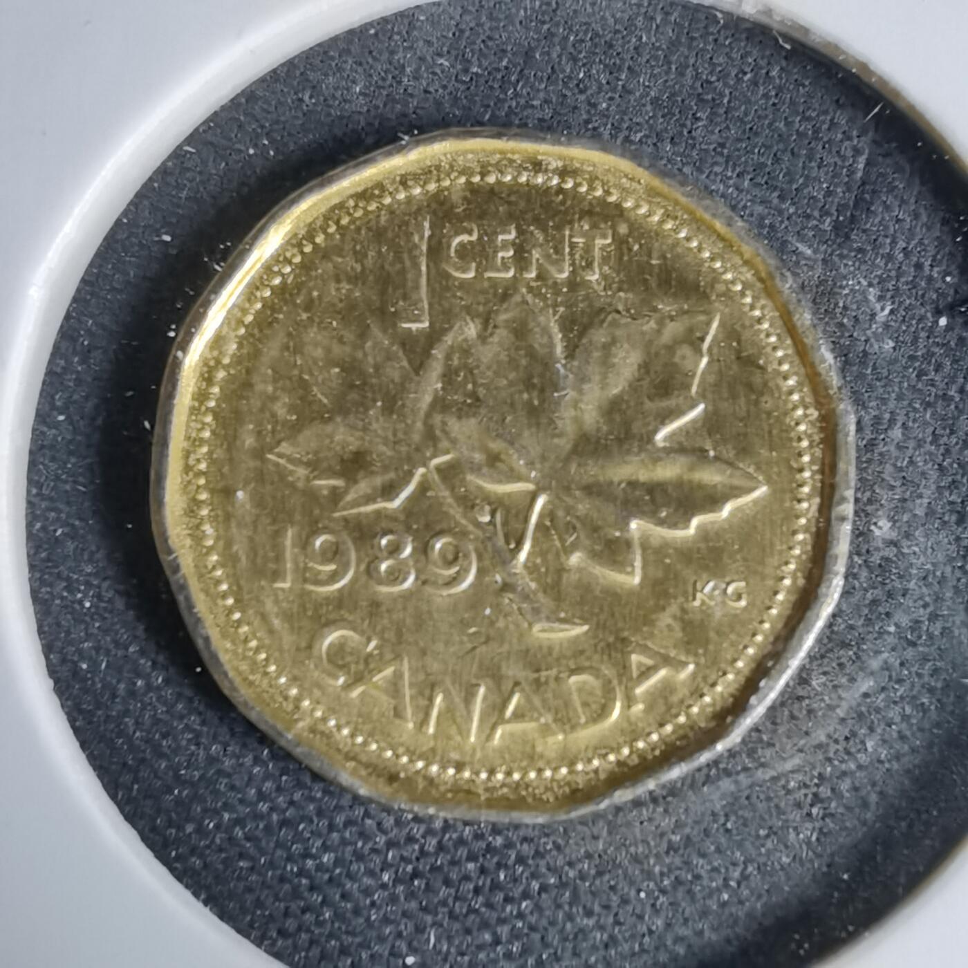 沼泽如烟--第1044场