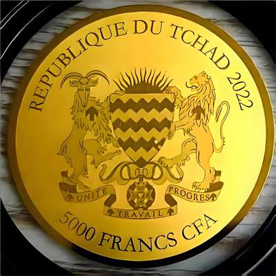 长老汇马年精选第十六场拍卖 - 珍惜！乍得2022年5000中非法郎 加拿大枫叶精制金币 999纯金 40mm 后配包装和证书齐全   市面不可见，兼具收藏投资属性