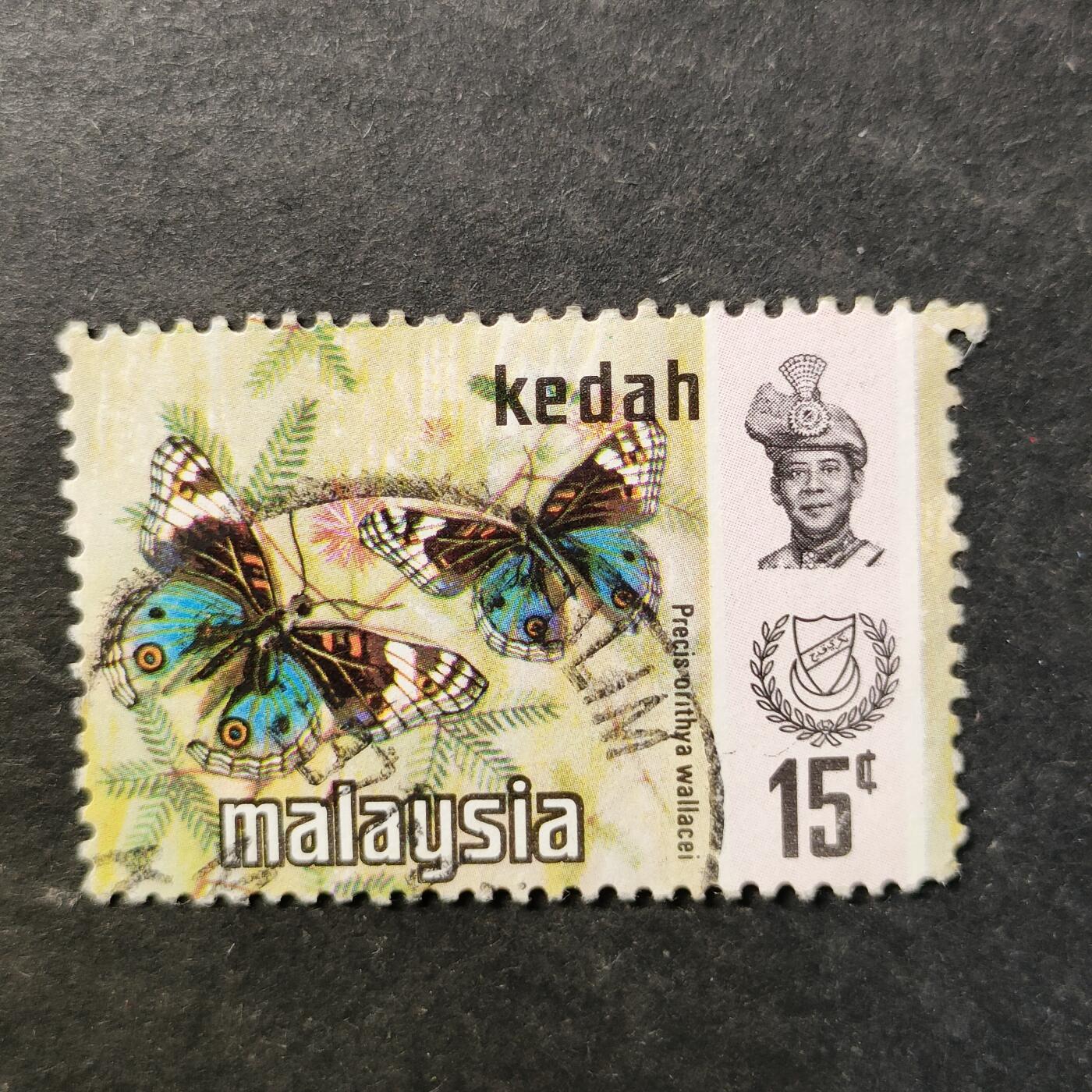 嘉禾收藏    【第510期】            无佣金、可寄存、满30元包邮 蝴蝶🦋邮票