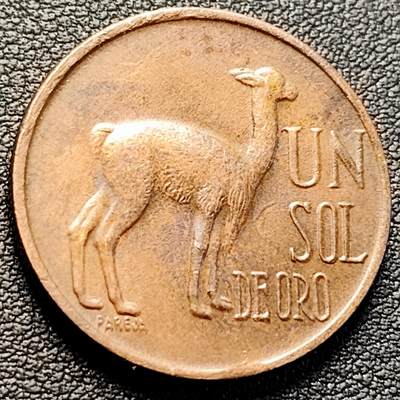 泉币菌-第223场-拍品多 请提前出价(工作原因  发货比较迟缓 已在拍卖规则里面说明 望理解) - 1974年 秘鲁1索尔大铜币 羊驼 28mm