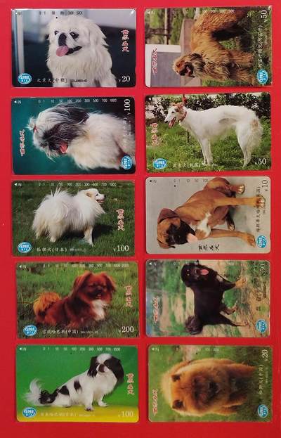 《鸿通俱乐部》拍卖第82期 2026年4月8日21:00延时节拍 - 北京田村旧卡《世界名犬》10全  未评级 品如图