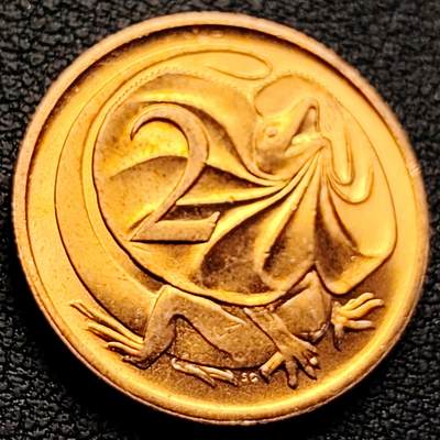 泉币菌-第223场-拍品多 请提前出价 - 。