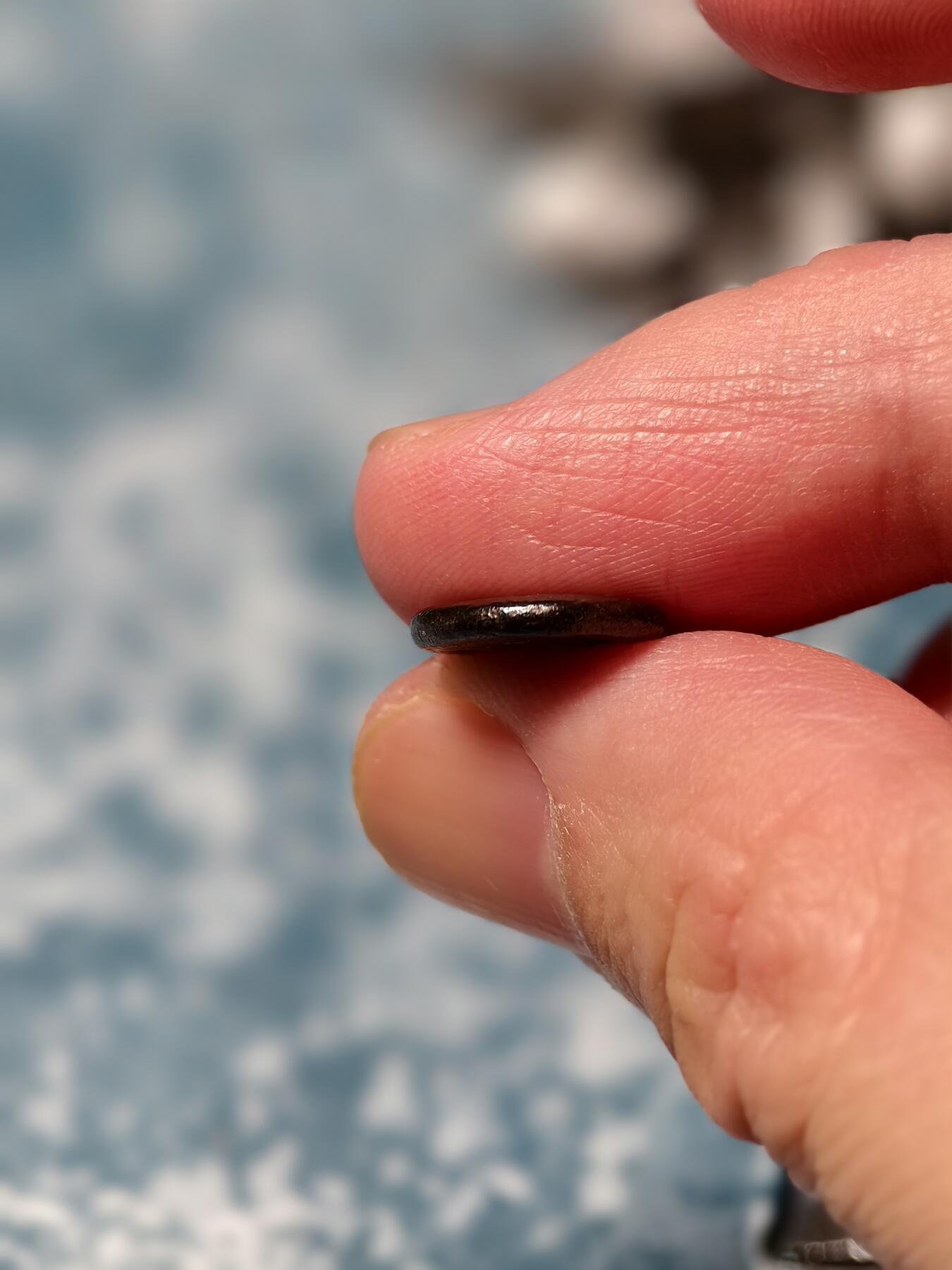 抚柳草堂-第二十三期章牌钱币  奖章勋章 满百包邮 放漏专场 三佛齐王国末期至满者伯夷王国早期打制小银币 1.5g重 正面有檀香花徽记，背面爪哇岛文，面值1 Unit或称Masa