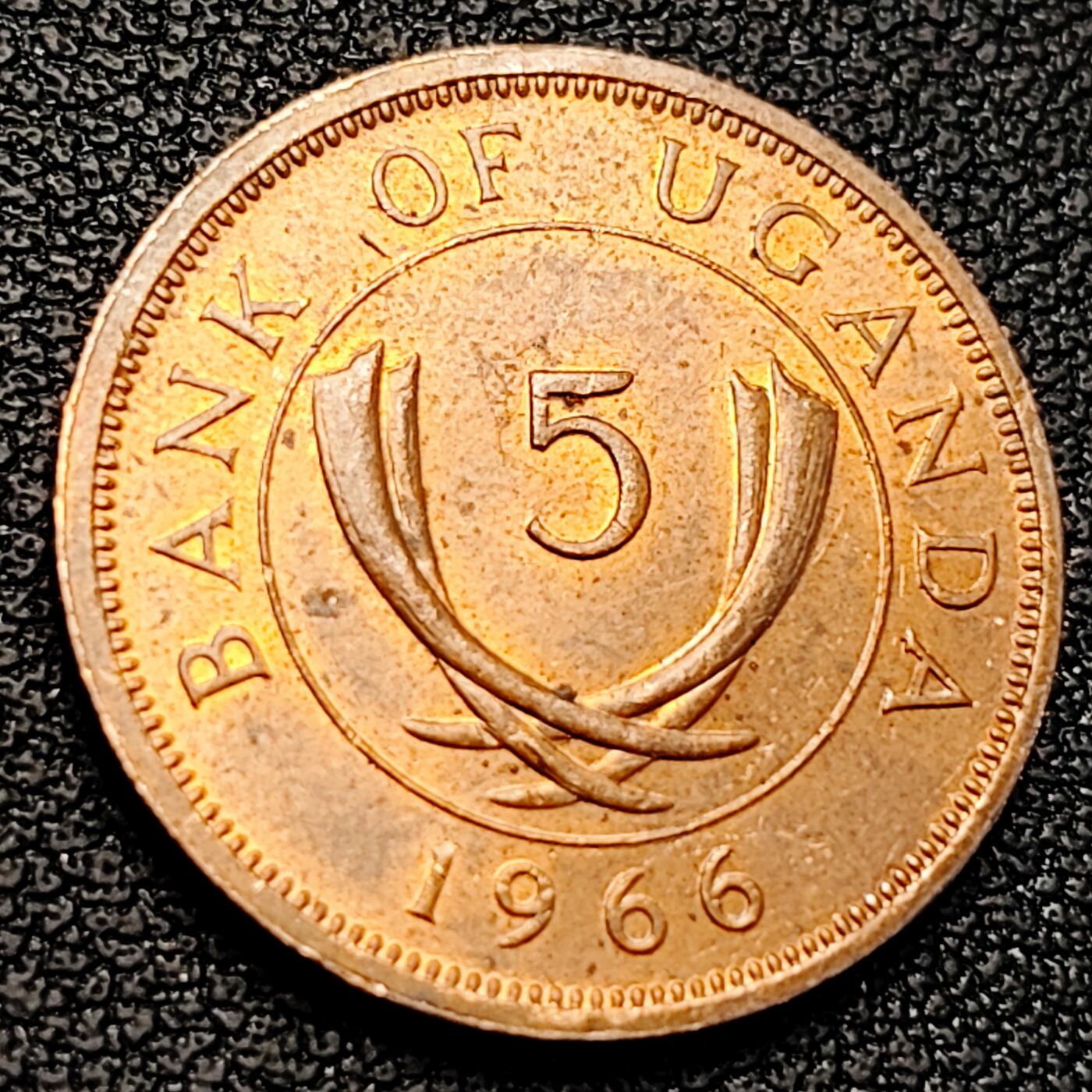 泉币菌-第223场-拍品多 请提前出价 。